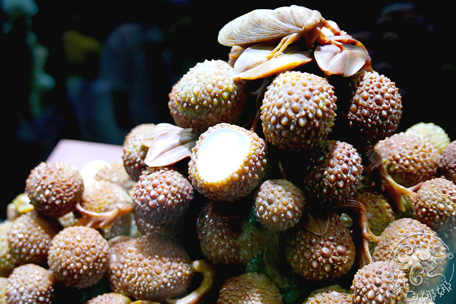【宜蘭蘇澳/新觀光工廠】綺麗博物館內珍藏許多珍貴珊瑚寶石，個個驚艷動人，令人再三欣賞，不只長知識也開眼界。免費入場至6/16。 @章魚娜娜 ∞ 玩味生活