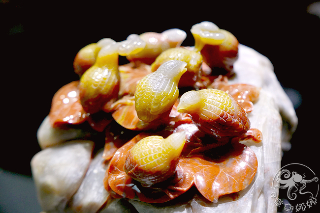 【宜蘭蘇澳/新觀光工廠】綺麗博物館內珍藏許多珍貴珊瑚寶石，個個驚艷動人，令人再三欣賞，不只長知識也開眼界。免費入場至6/16。 @章魚娜娜 ∞ 玩味生活