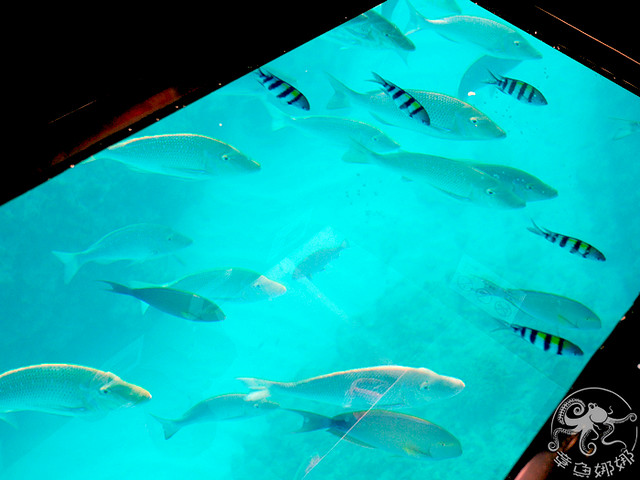 沖繩北部景點 名護市【海中公園】海中觀景塔+玻璃船，不用換衣服的出海看魚，還能海上餵魚好震撼！無緣的展望塔。 @章魚娜娜 ∞ 玩味生活