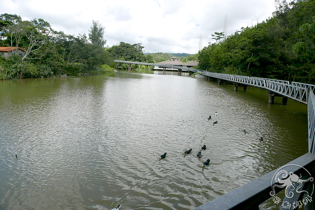 沖繩北部景點【名護自然動植物公園】復古小火車鐵道繞行餵食與探索，鳥類餵食區數量驚人！可以近距離與小動物接觸的親子景點！還能看到水豚君喔！ @章魚娜娜 ∞ 玩味生活